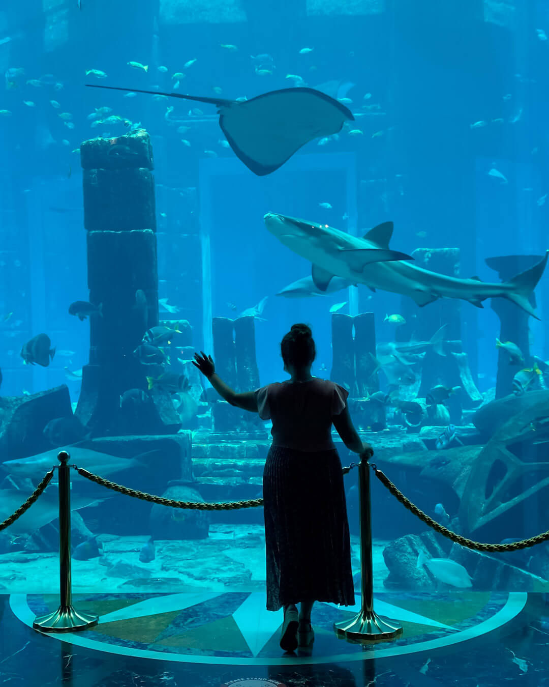 Looking at Dubai Aquarium