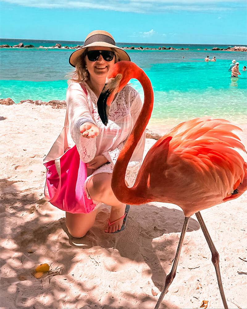 Flamingo beach in Aruba